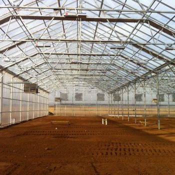 Agricultural Greenhouses and Grow Lighting Pic 1- Services Page.png